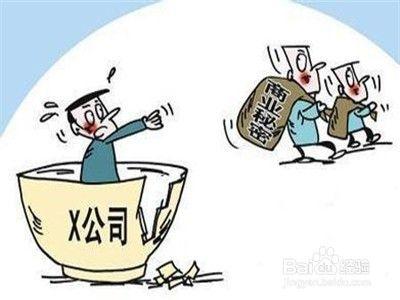 知識產權機構 創(chuàng)新企業(yè)的守護神與導航者